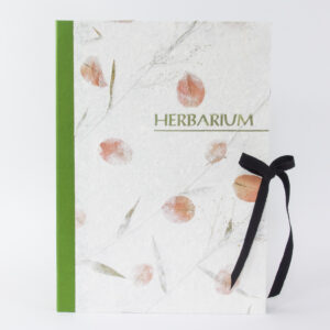 Herbarium Klassik Veilchen - Violaceae