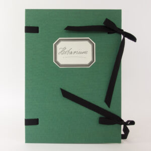 Herbarium Studio Foeniculum - Fenchel