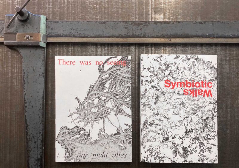 Titelseiten der Kunstbucheinbände "There was no seeing / Es war nicht alles" und "Symbiotic Works" von Andreas Kempe